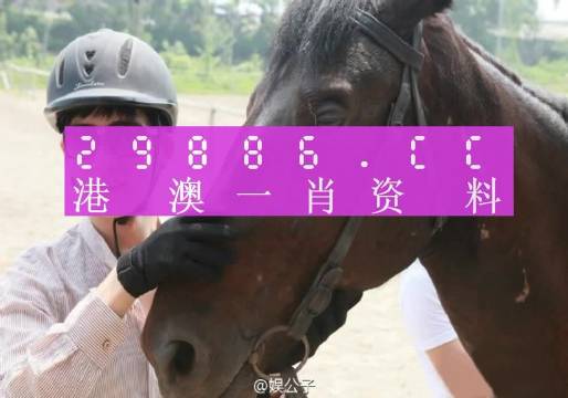 澳門今晚必中一肖一碼,廣泛方法評估說明_策略版11.530