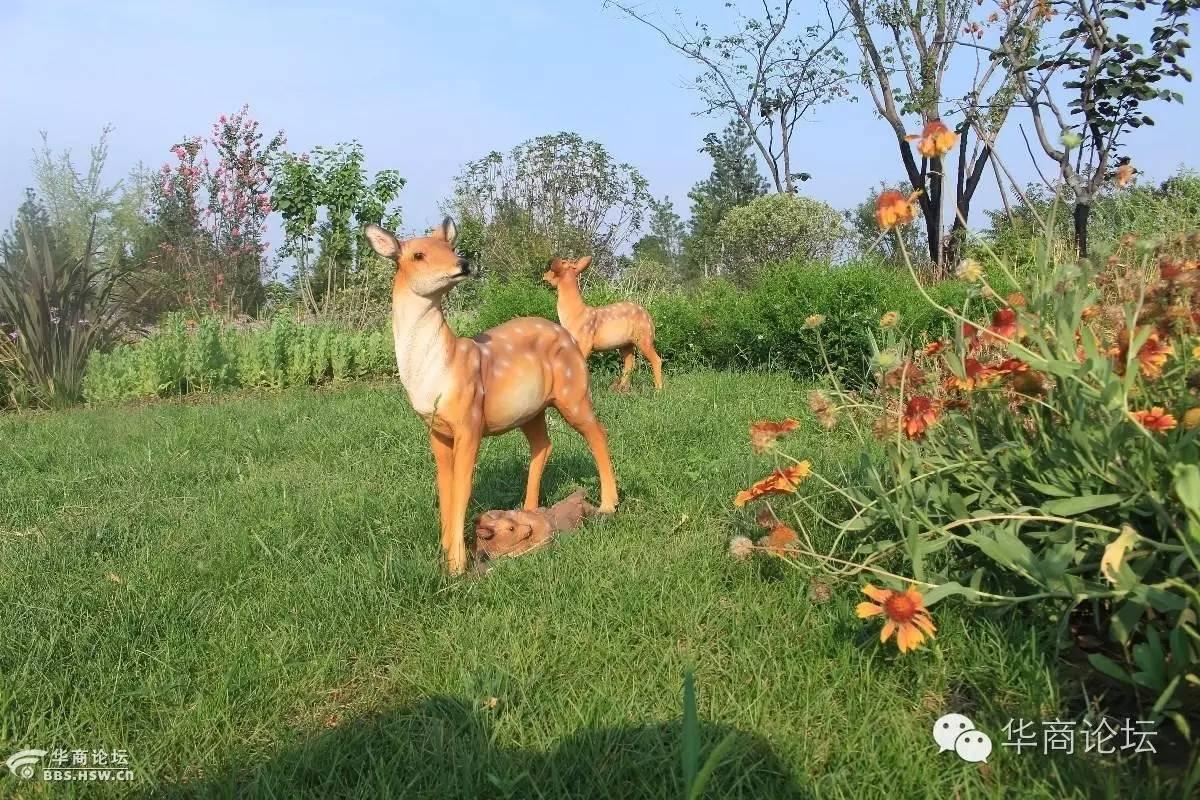 西安新植物園最新動態(tài)，進(jìn)展、亮點(diǎn)與未來展望